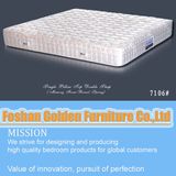 Top Hotel Mattresses (7106)