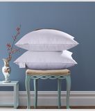 Cheap Microfiber Cover Polyester Filling Pillow