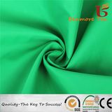 210t Nylon Taffeta/Nylon Taffeta for Garment/100% Nylon Taffeta