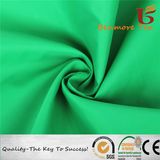 210t Nylon Taffeta/Nylon Taffeta for Garment/100% Nylon Taffeta