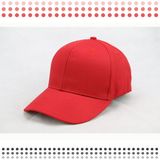 Adjustable Embroidery 6 Panel Baseball Caps