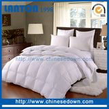 Custom Hotel Polyester Microfiber Filling Quilt Comforter