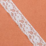 Fancy Design Beautiful Lace Fabric for Lingerie Underwear Dress