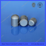 Tungsten Carbide Buttons with High Quality for Rock Tools