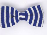 New Design Fashion Men's Polyester Knitted Bowtie (1005)