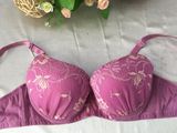 Latest Style Fancy Bra Lady Underwear