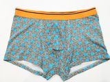 Allover Printed New Style Men's Boxer Short Underwear