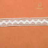 Embroidery Chemical Lace for Garment Accessory Lace