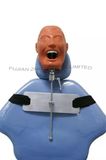 Wholesale Dental Techniques Auxiliary Training Manikin Adult