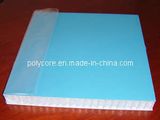 FRP PP Honeycomb Composite Panel