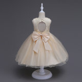 Girl Dresses for Kids Wedding Party Formal Embroidery Dress with Bowknot Summer