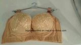 China Branded of Women's Underwear/Underwear Bra/Push up Underwear