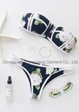 Factory Wholesale Custom Women Bikini Girls Sexy Modest Swimwear