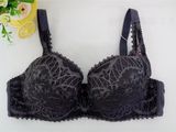 Big Size Ladies Underwear Bra New Design