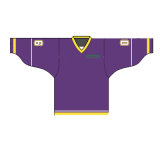 High Quality Custom Ice Hockey Jersey Uniform for Hockey Club
