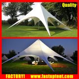 Fireproof Waterproof Garden Tent Cover Star Shade Tent