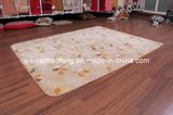 Luxury Raschel Mink Polyester Picnic Carpet (NMQ-CPT010)