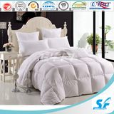 100% Microfiber Disperse Printting Beautiful Comforter