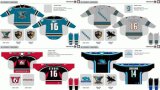 Customized American Hockey League Worcester Sharks Hockey Jersey