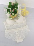 Hot Sale Sexy Lace Underwear Set Push up Bra with Boyshort (FPY318)