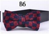 New Design Fashion Men's Knitted Bowtie (B6)