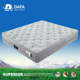 Pocketed Spring Mattress with Euro Top Memory Foam Plush Mattress for bedding Dfm-19