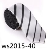 Most Hot Sales Fashionable Slim Necktie (Ws2015-40)