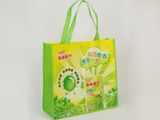 Custom Fasion Nonwoven Shopping Bag with OPP Lamination