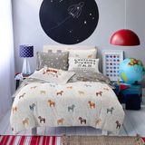 100% Cotton Pigment Priment Bedding Set