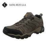 2017 Most Popular Professional Walking Sport Hiking Shoes