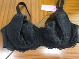 Warehouse High Quality Plus Size Sexy Lingerie (CS924)