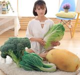 Custom 3D Printing Plush Vegetable Cushion