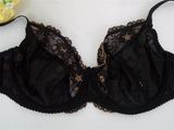 European Style Cotton Cup Big Size Bra (CS925)