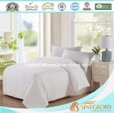 Saint Glory Washable Bed Linen Silk Quilt 100% Silk Comforter