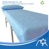 PP Nonwoven Pillow Cover and Bed Sheet