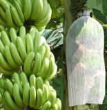 Tecido Nao-Tecido 100% Polipropileno Banana Bag