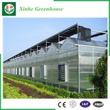 Agriculture/Commercial PC Sheet Tent with Cooling System