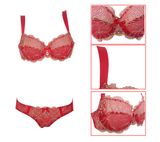 2016 New Design Push up Lace Bra Panty (FPY330)