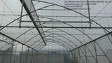18X18 Mesh Anti Insect Net