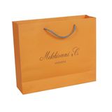 Customize Paper Gift Bag with Ribbon