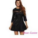 Black Sheer Lace Fashion Dress