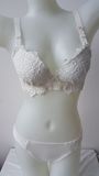 Fashion Design Bra and Panty Sexy Lingerie (CS26112)