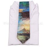 Digital Printing Silk Ties