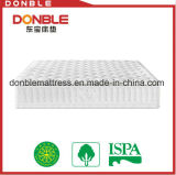 OEM Factory Healthy and Comfortable Home and Hotel Mattress