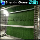 Best-Seller 8mm Carpet Grass Artificial for Indoor Floor