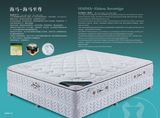 Mattress Wholesale Suppliers All Kinds of Mattress Price