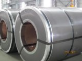 Galvanized (GI) Steel Sheet in Coil SGCC/Sgch