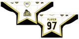 Customized Ontario Hockey League Kingston Frontenacs Hockey Jersey