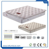 Free Samples European Queen Mattress Size of China