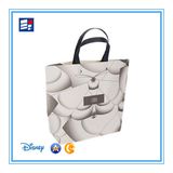 Paper Handle Bag for Gift/Electronic/Wine/Shoes/Garment/Jewelry